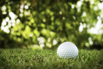 golf-ball on course