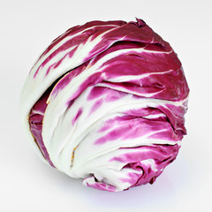 Obraz premium Batavian Italian Chicory