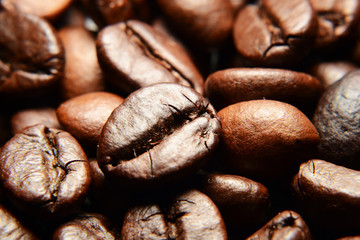 coffee bean in macro