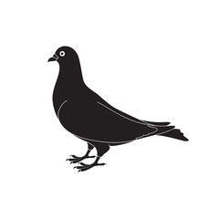 Silhouette of a dove.