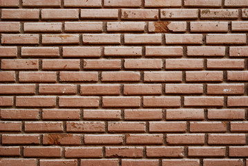Obraz premium Brick wall for background