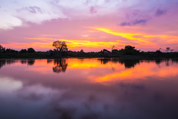 Silhouette of forest near the river.