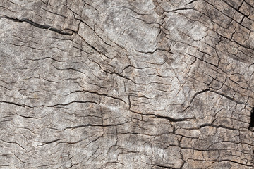 timber as texture