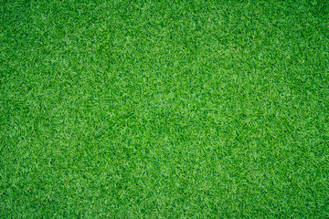 green grass background