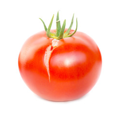 Red fresh tomato