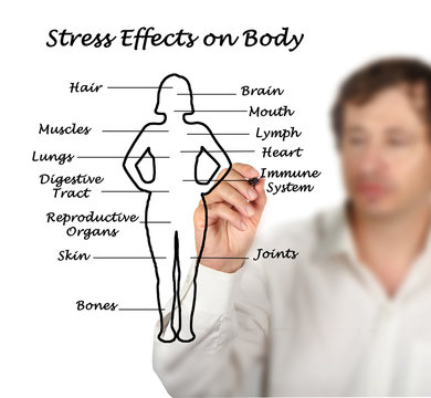 Stress Effects on Body