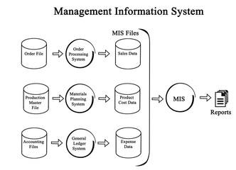 Management Information System © Dmitry