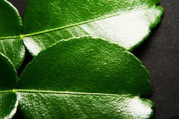 Bergamot photos, royalty-free images, graphics, vectors & videos
