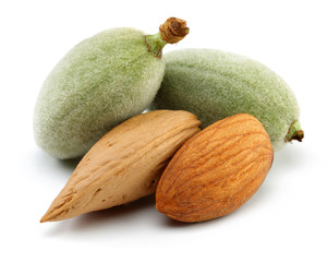 Almond group