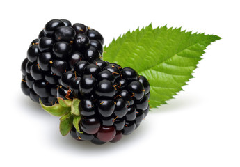 Blackberries