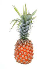 Fototapeta premium pineapple