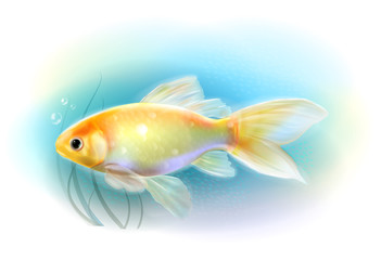 Goldfish in the sea.  Aquarium fish. Realistic  illustration