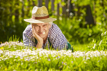 Gärtner Mit Hut und Gänseblume im Mund