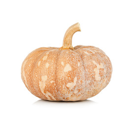 Fresh pumpkin isolated on white background