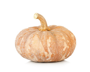 Fresh pumpkin isolated on white background