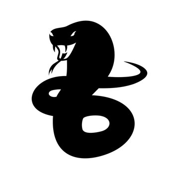 Cobra image