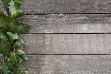 Vintage wood background texture from old wooden planks