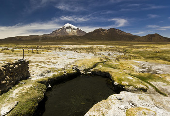 hot springs near volcano Sajama in Bolivia 