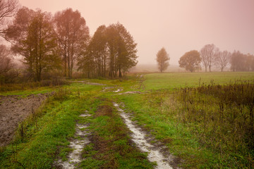 Rural landscape. Misty morning in countryside.