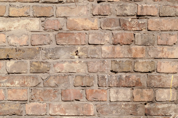 Obraz premium brick wall background
