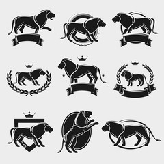 Lion label and icons set. Vector