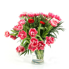 Tulpen und Nelken