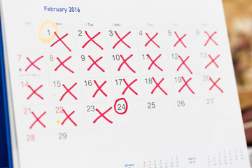 Reminder calendar, the concept to get pregnant from this month s