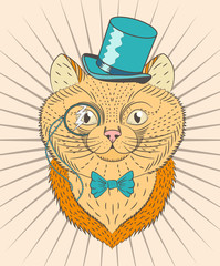 Portrait of a cat in color