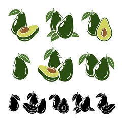 Avocado set. Vector