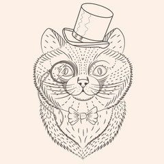 Portrait of a cat for coloring