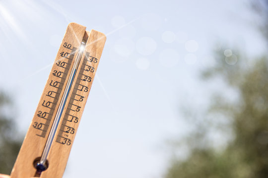 wood Thermometer