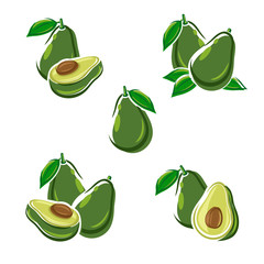 Avocado set. Vector