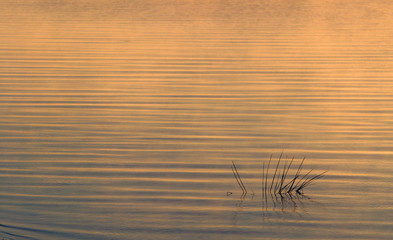 beautiful and fascinating mirror water surface
