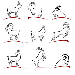 Goat set. Vector