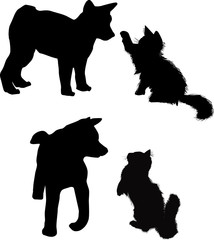 puppy and kitten silhouettes isolated on white