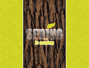 Spring poster with vertical wood bark repeat background