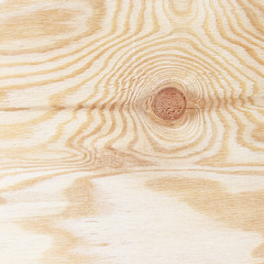 plywood texture with gnarl and  natural wood pattern