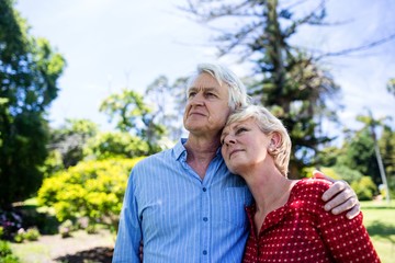 Fototapeta premium Senior couple embracing in park