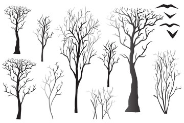 Silhouettes of bare trees