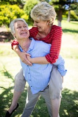 Happy senior man giving a piggy back to senior woman