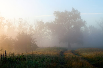 Fototapeta na wymiar Early foggy morning