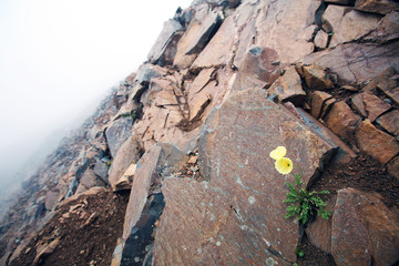 Travel to Eastern Sayan mountains