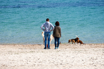 Happy couple with dogs at the beach.