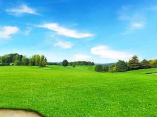 Idyllic golf course with forest. Summer landscape, park.