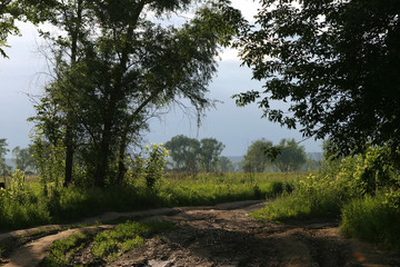 traveling on a dirt road