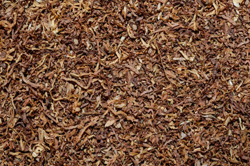 Fototapeta premium tobacco texture background
