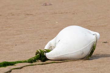 Obraz premium White buoy