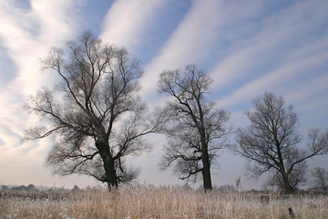 autumn landscape