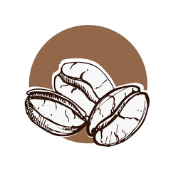 hand drawn ink coffee beans, sketch of coffee beans. vector eps 10