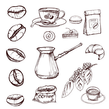 hand drawn ink coffee beans, sketch of coffee beans. vector eps 10